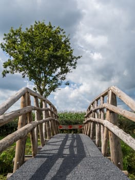 Vertical of wooden bridge with arrows and a tree
