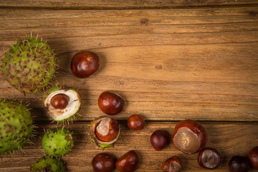 Autumn fruits of chestnut and acorn on wooden retro table in fall colours