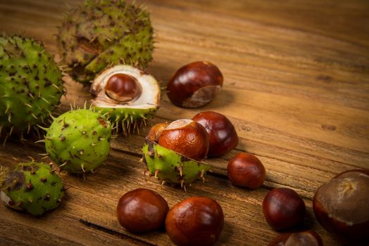 Autumn fruits of chestnut and acorn on wooden retro table in fall colours