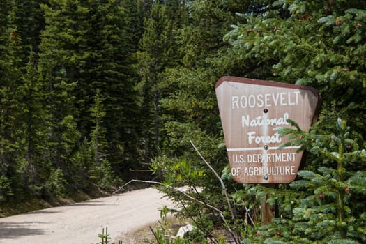 An old sign in the Roosevelt National Forest