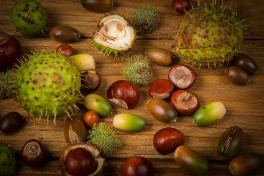 Autumn fruits of chestnut and acorn on wooden retro table in fall colours