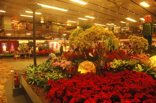 Singapore, Singapore - January 15, 2014: Ornamental garden at Terminal 1 Changi International Airport, Singapore.