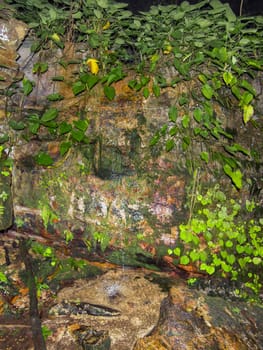 Mountain Spring on Tab Kak-Hang Nak. Krabi Province Thailand