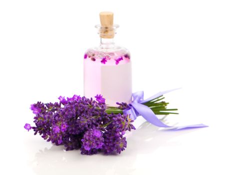 fresh lavender blossoms with Natural handmade lavender oil, on white background