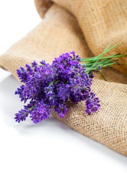 lavender flowers on the burlap, over white background