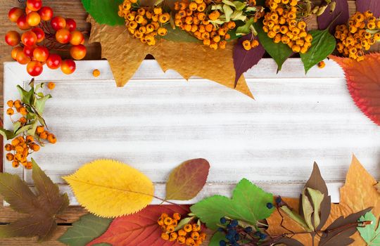 Autumn leaves and berry over wooden background with copy space