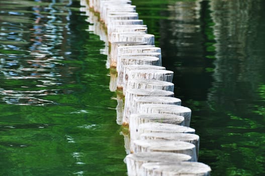 strains fixtures in the green water of a pond as catwalk