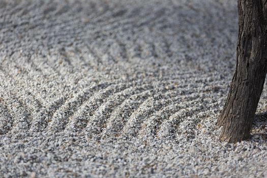 Peaceful Zen garden with raked sand and single tree trunk. Gravel's classical pattern represents water flow and movement.  Location is Tucson Botanical Gardens' Japanese Garden, a popular attraction in Arizona. 