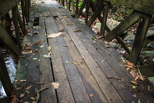 old wooden bridge in forest