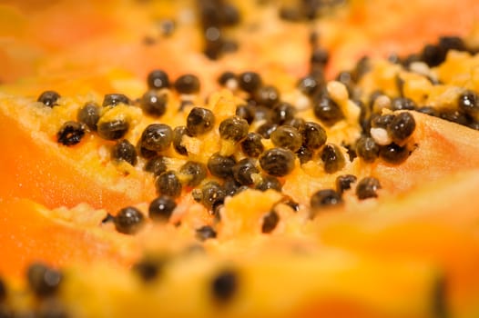 fersh juicy yellow papaya extreme closeup, selective focus