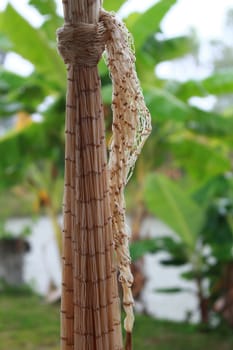 This is a fishnet.It is hanging from the roof.