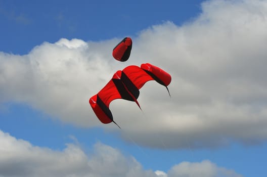 Red and black kite flying high