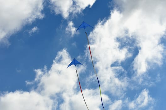 Pair of blue kites