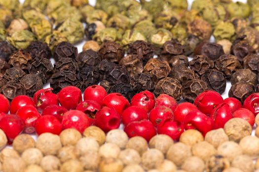 beans of colorured pepper - macro