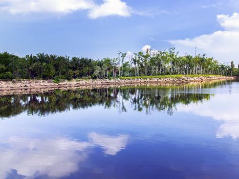 Pond in Nong Nooch Garden. Chon Buri, Thailand