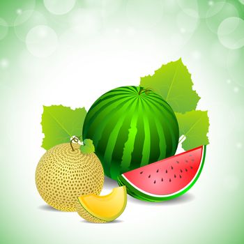 watermelon green on a white background and a piece cut