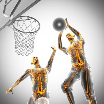 basketball game player radiography scan image