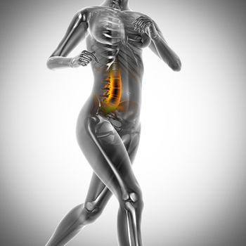 running woman radiography scan image