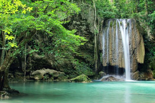 Deep forest waterfall