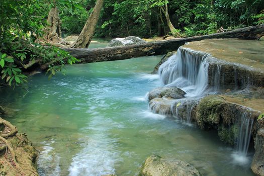 Deep forest waterfall