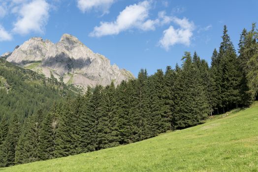 Mountains, forest and meadow in the Dolomites - San Martino di Castrozza