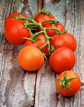 Fresh Ripe Red Cherry Tomatoes with Stem and Twigs isolated on Rustic Wooden background