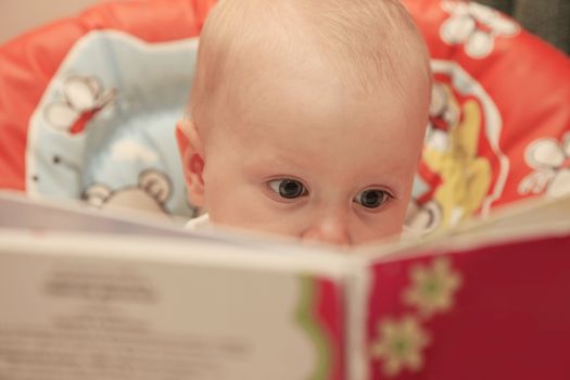 Little girl is carefully studying the book