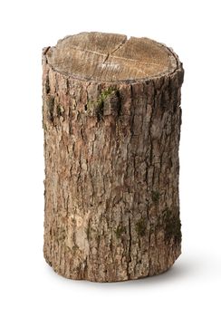 Vertical stump isolated on a white background