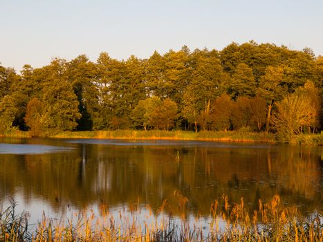 Evening lake reflection in Bielowieza NP (Poland)