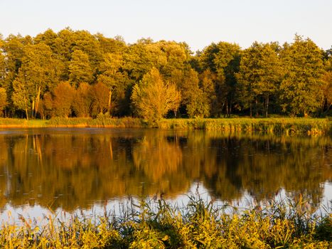 Evening lake reflection in Bielowieza NP (Poland)