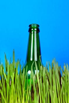 Green Bottle in the Grass on the Blue Background