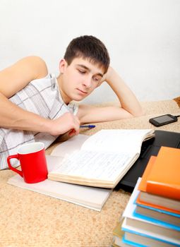 Teenager doing Homework on the Sofa at the Home