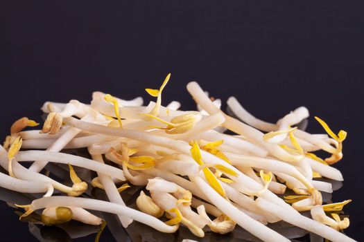 mung bean sprouts isolated on black background