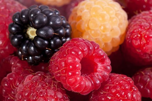 background of group of colorful raspberries macro