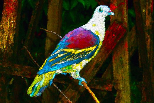 Creative painting of a colorful bird, which can be use as background, backdrop or design etc.