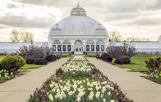 Beautiful and historic botannical gardens of Buffalo NY. Flowers and shrubs line the walking path to the domed structure.

