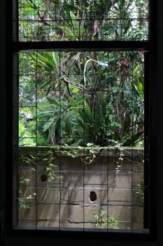 The window on the steel cage for the safety of property.But also the view outside.