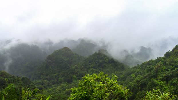 View from Peak in Cat Ba National Park. Ha Long Bay,  Vietnam