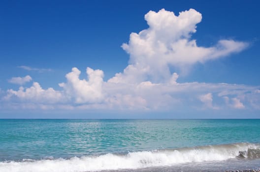 beautiful beach and tropical sea