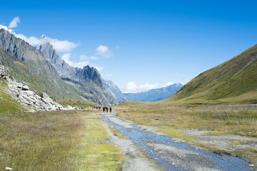 VAL VENY, ITALY - AUGUST 27: Hikers on valley path with Limestone Pyramids in the background. The region is a stage of the popular Mont Blanc tour. August 27, 2014 in Val Veny.