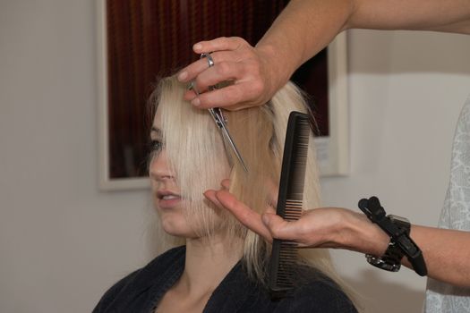 Blonde Girl Getting a Haircut, hands of hairdresser with scissors and comb visible