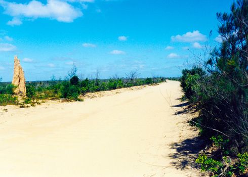 australian termit mound road