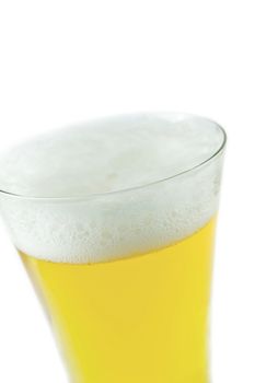 beer on the white background