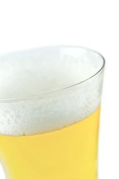 beer on the white background