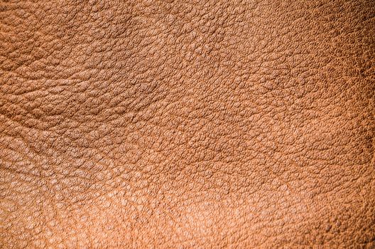Leather texture background