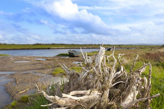 bog oak and old row boats on the bank of the river Cashen in county Kerry Ireland