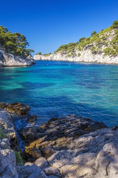 Famous calanques of Port Pin, Cassis, France