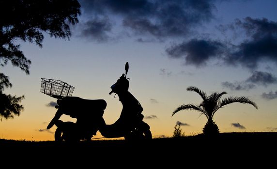 A motorbike, with a basket, sillouetted against a sunset sky, wth a pinapple palm next to it