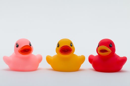 Three rubber ducks in different colors facing the viewer