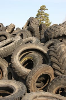 An old car tire dump